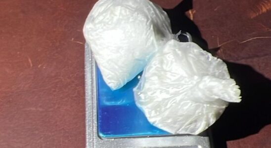 Nonostante l’affidamento in prova, dà vita a un’attività di spaccio, arrestato 54enne