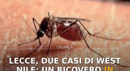 Lecce, due casi di West Nile: un ricovero in rianimazione. ASL monitora